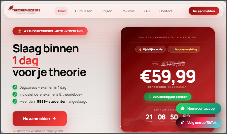 Theoriemeesters website screenshot